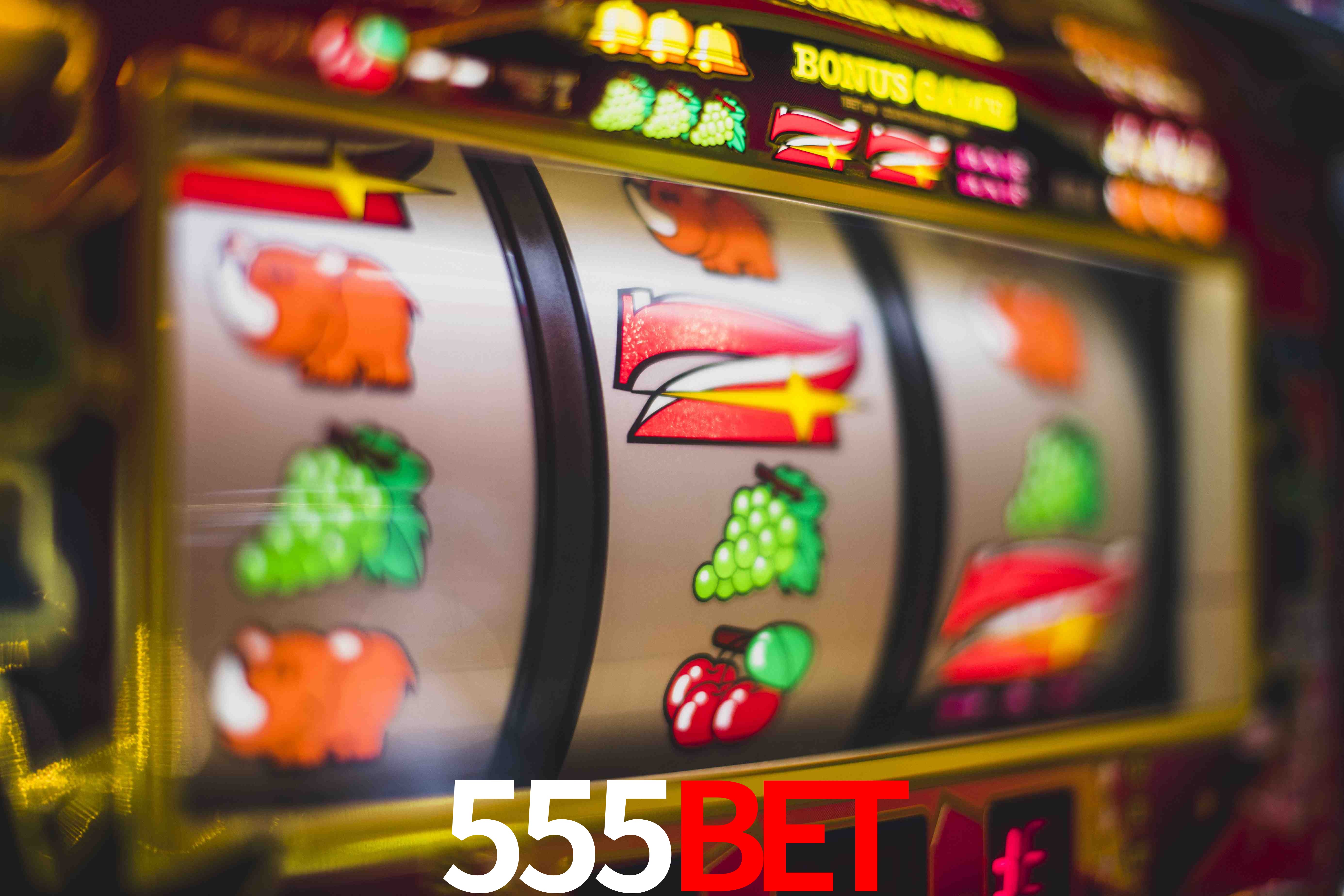 Crash Games Statistics 555bet